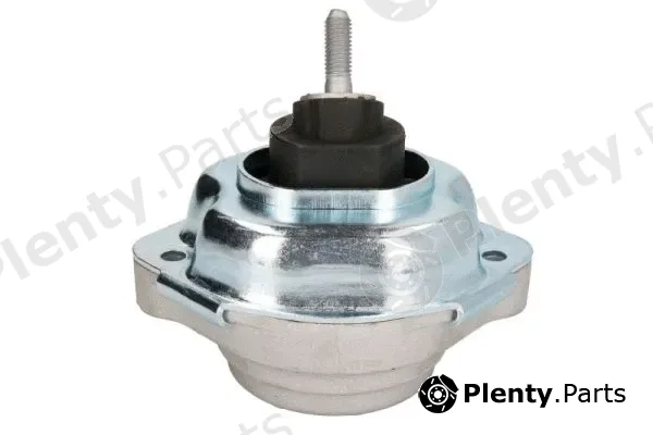 Reinhoch RH11-3061 — Mounting, engine