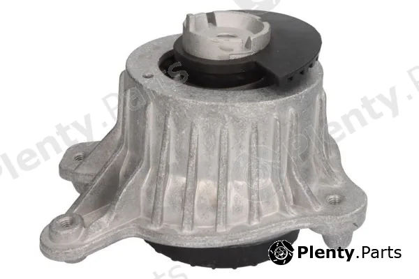 Reinhoch RH11-3125 — Mounting, engine