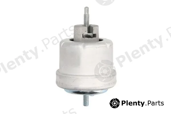 Reinhoch RH11-5025 — Mounting, engine