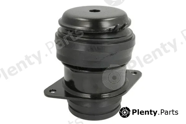 Reinhoch RH11-0107 — Mounting, engine