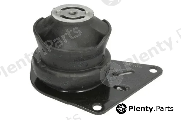 Reinhoch RH11-0077 — Mounting, engine