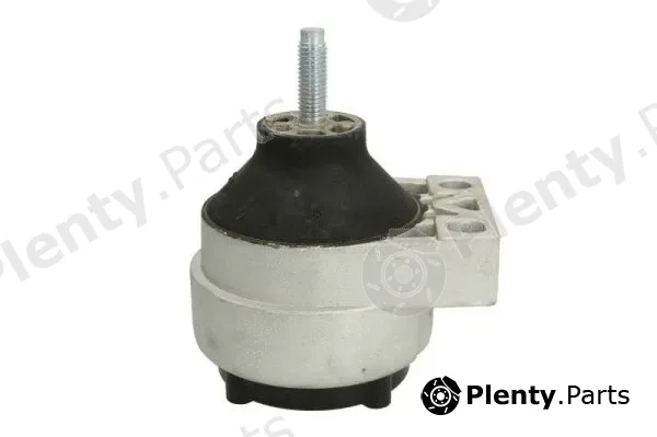 Reinhoch RH11-4007 — Mounting, engine