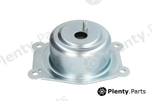 Reinhoch RH11-5034 — Mounting, engine