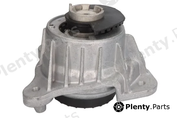 Reinhoch RH11-3120 — Mounting, engine