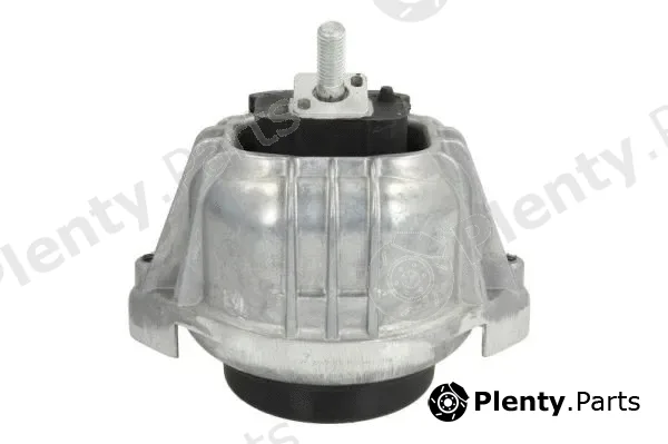 Reinhoch RH11-3038 — Mounting, engine