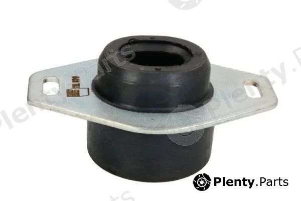 Reinhoch RH11-1004 — Mounting, engine