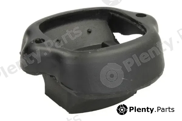 Reinhoch RH11-3041 — Mounting, engine
