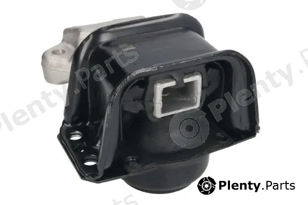 Reinhoch RH11-2099 — Mounting, engine