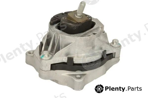 Reinhoch RH11-3111 — Mounting, engine