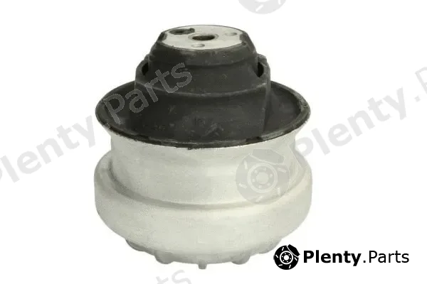 Reinhoch RH11-3003 — Mounting, engine