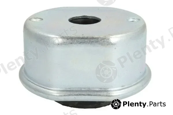 Reinhoch RH11-0132 — Mounting, engine