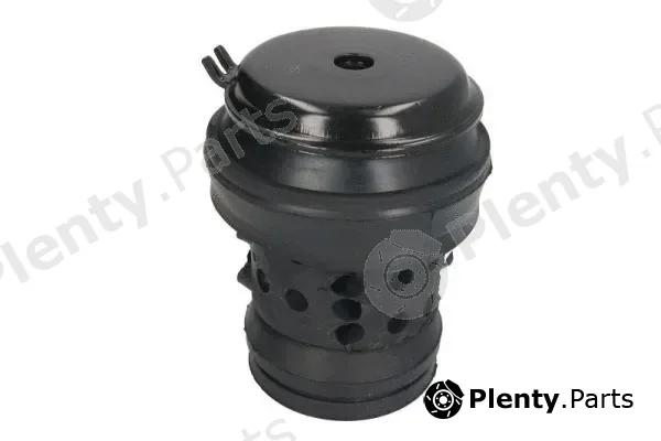 Reinhoch RH11-0005 — Mounting, engine
