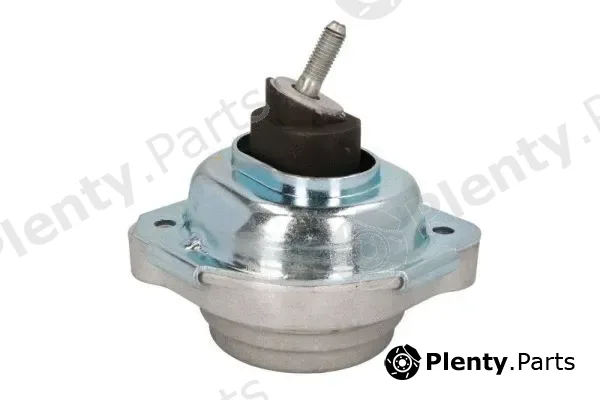 Reinhoch RH11-3069 — Mounting, engine
