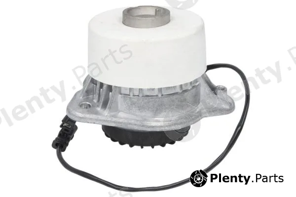 Reinhoch RH11-3132 — Mounting, engine