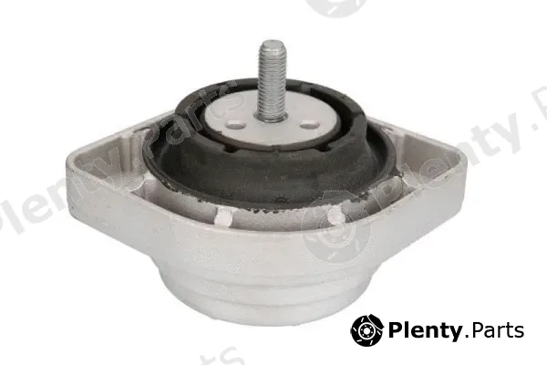 Reinhoch RH11-3062 — Mounting, engine