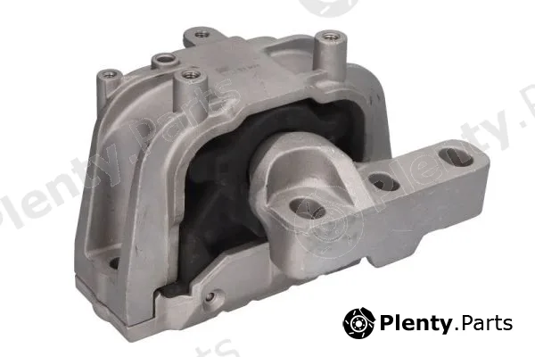 Reinhoch RH11-0157 — Mounting, engine