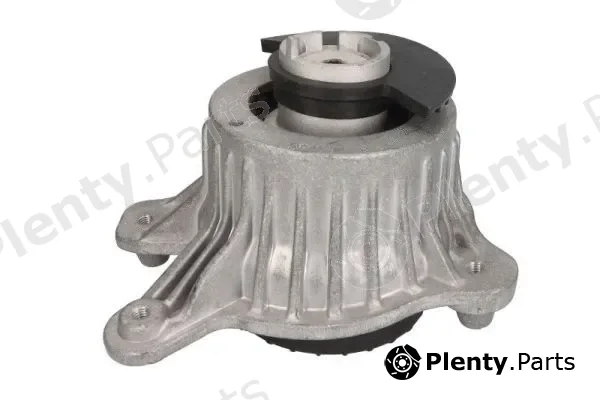 Reinhoch RH11-3105 — Mounting, engine