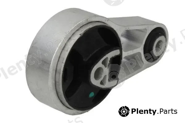 Reinhoch RH11-3091 — Mounting, engine