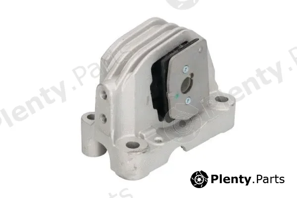 Reinhoch RH11-4029 — Mounting, engine