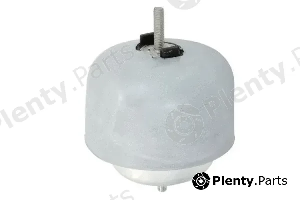 Reinhoch RH11-0119 — Mounting, engine