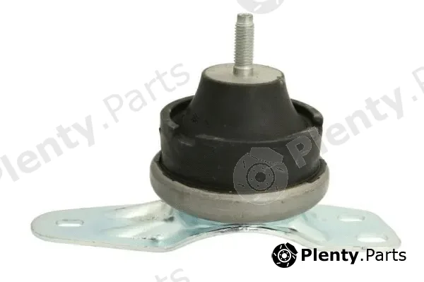 Reinhoch RH11-2141 — Mounting, engine