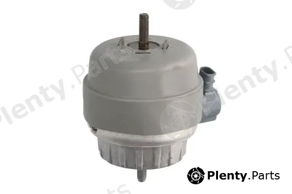 Reinhoch RH11-0127 — Mounting, engine