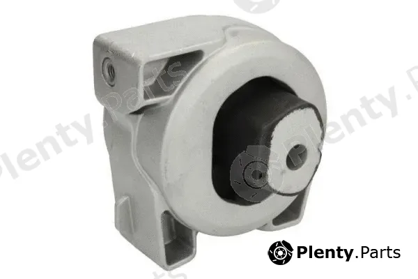 Reinhoch RH12-3002 — Mounting, engine