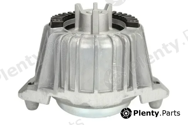 Reinhoch RH11-3035 — Mounting, engine