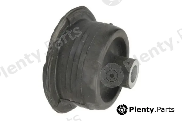 Reinhoch RH20-5007 — Bushing, axle beam