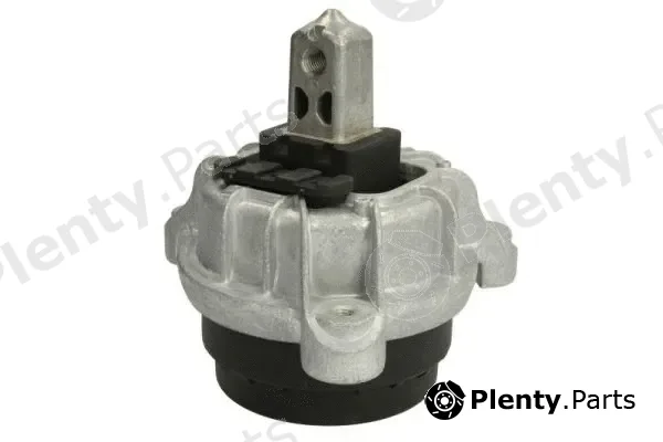 Reinhoch RH11-3048 — Mounting, engine