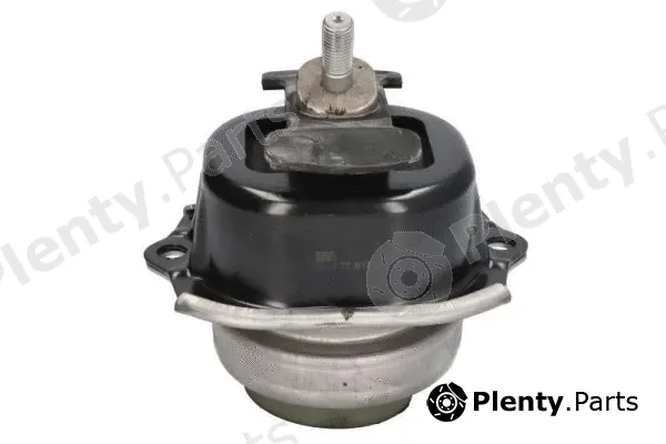 Reinhoch RH11-3093 — Mounting, engine