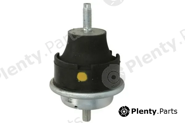 Reinhoch RH11-2003 — Mounting, engine