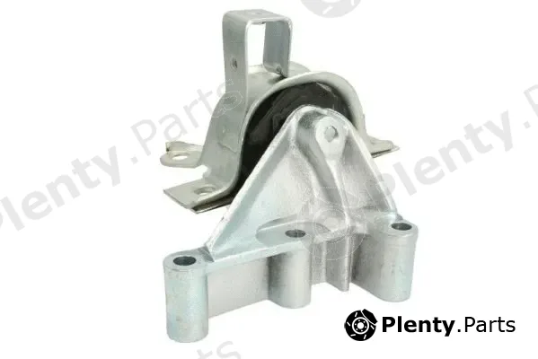 Reinhoch RH11-1031 — Mounting, engine