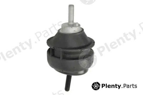 Reinhoch RH11-4021 — Mounting, engine
