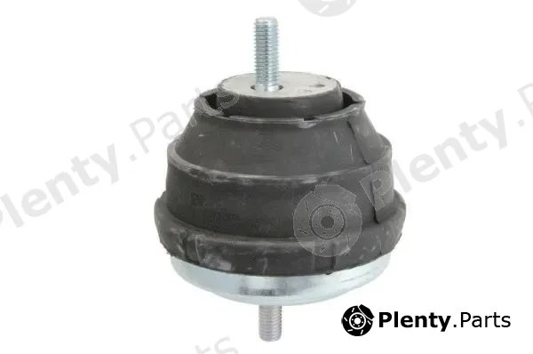 Reinhoch RH11-3002 — Mounting, engine