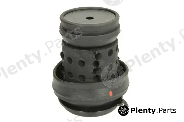 Reinhoch RH11-0019 — Mounting, engine