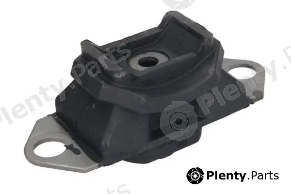 Reinhoch RH11-2149 — Mounting, engine
