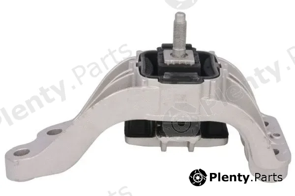 Reinhoch RH11-3124 — Mounting, engine