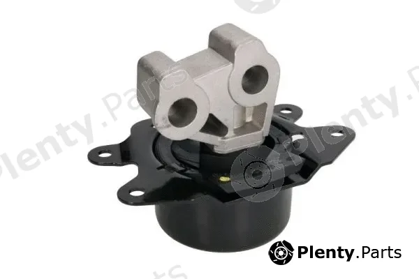 Reinhoch RH11-5065 — Mounting, engine