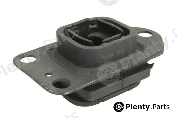 Reinhoch RH11-2123 — Mounting, engine