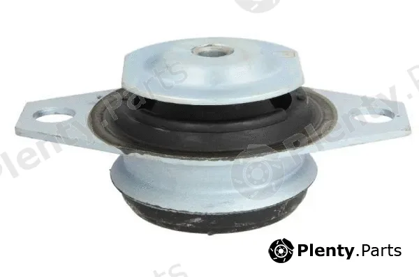 Reinhoch RH11-1010 — Mounting, engine
