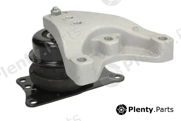 Reinhoch RH11-0123 — Mounting, engine