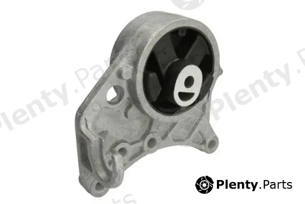 Reinhoch RH11-6009 — Mounting, engine