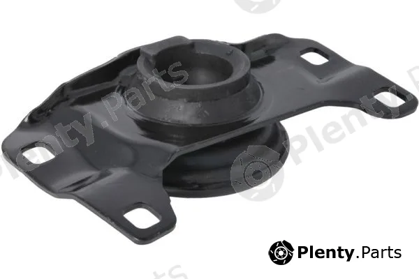 Reinhoch RH12-4021 — Mounting, engine