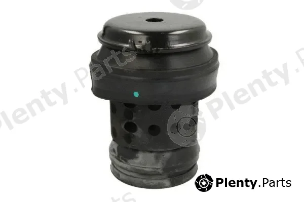 Reinhoch RH11-0013 — Mounting, engine