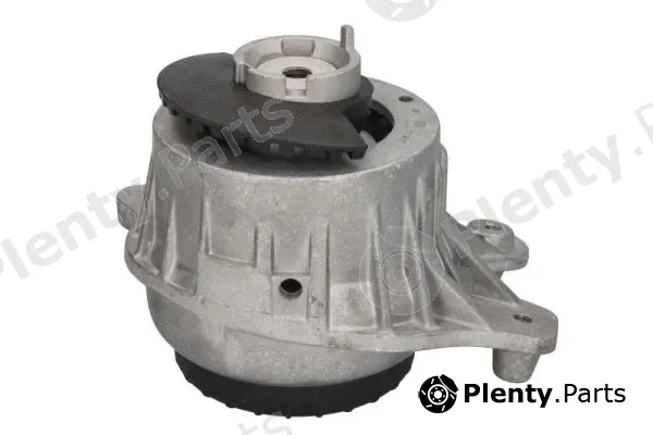 Reinhoch RH11-3096 — Mounting, engine