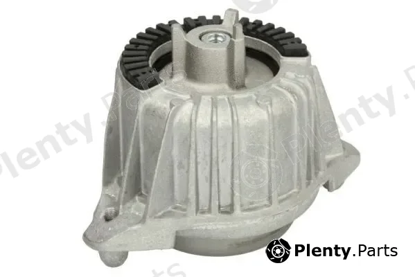 Reinhoch RH11-3108 — Mounting, engine