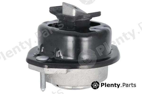 Reinhoch RH11-3109 — Mounting, engine
