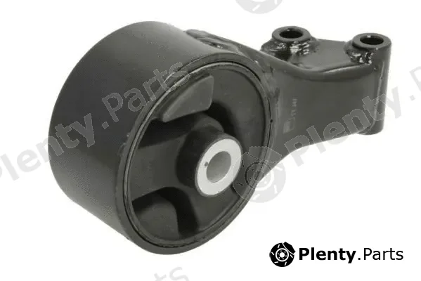 Reinhoch RH11-1016 — Mounting, engine