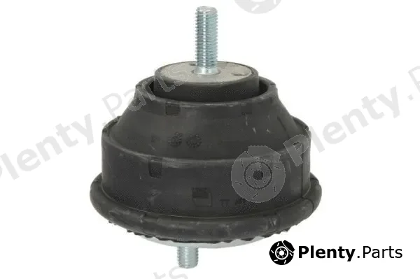 Reinhoch RH11-3005 — Mounting, engine